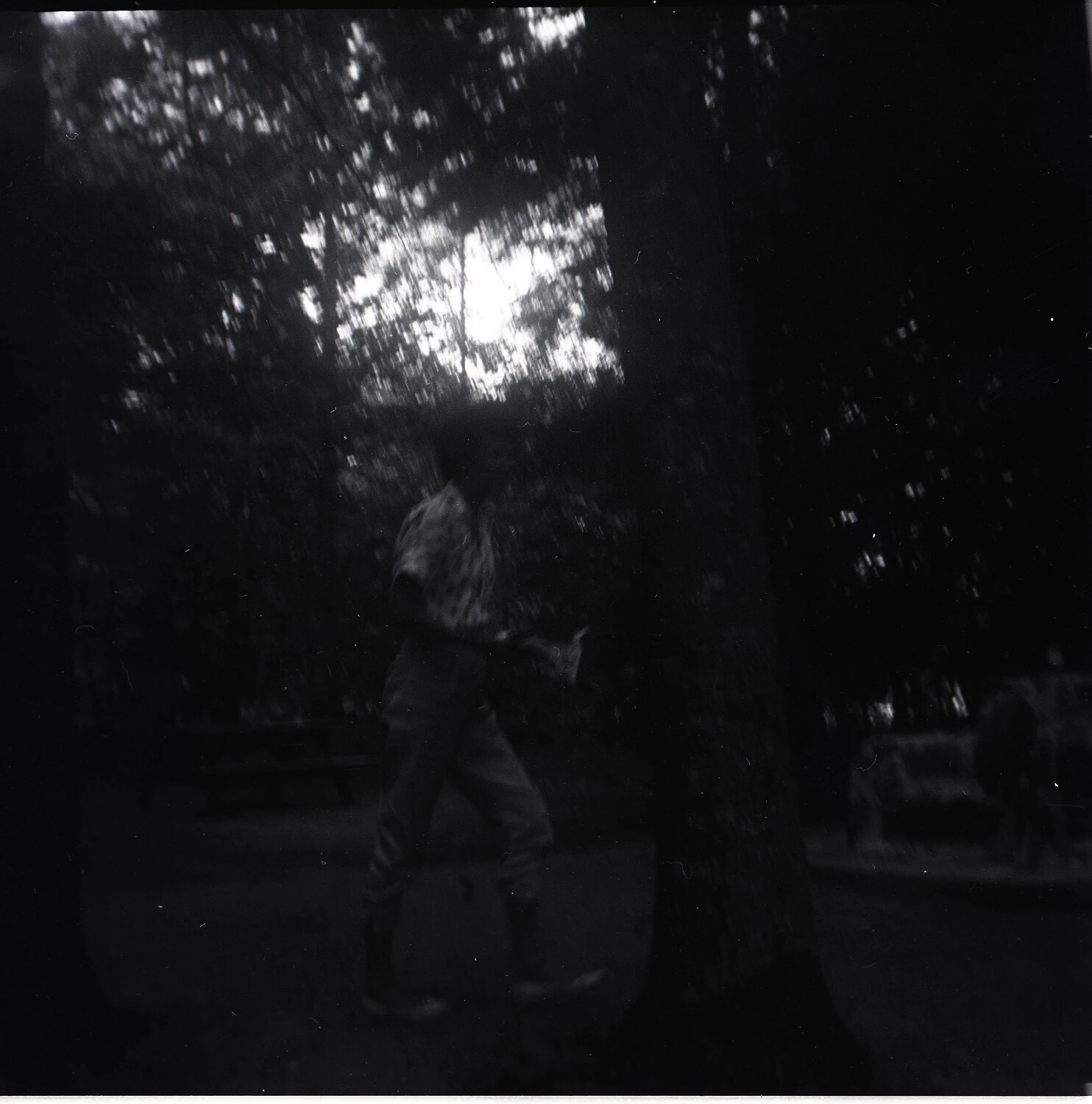 Figure Walking Through Shaded Picnic Grounds, Blurred Snapshot, Mid-20th Century