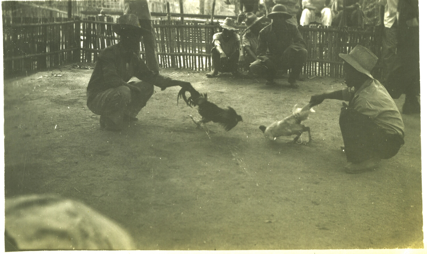 Handlers Presenting Fighting Roosters Before a Match, Pacific Theater, WWII