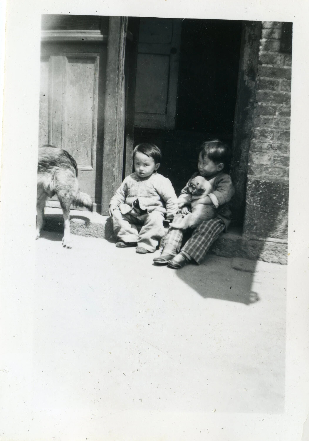 Local Children with Dog and Puppy in Doorway, Navy Transport Squadron Album (VR-6, Pacific/Asia Port of Call)