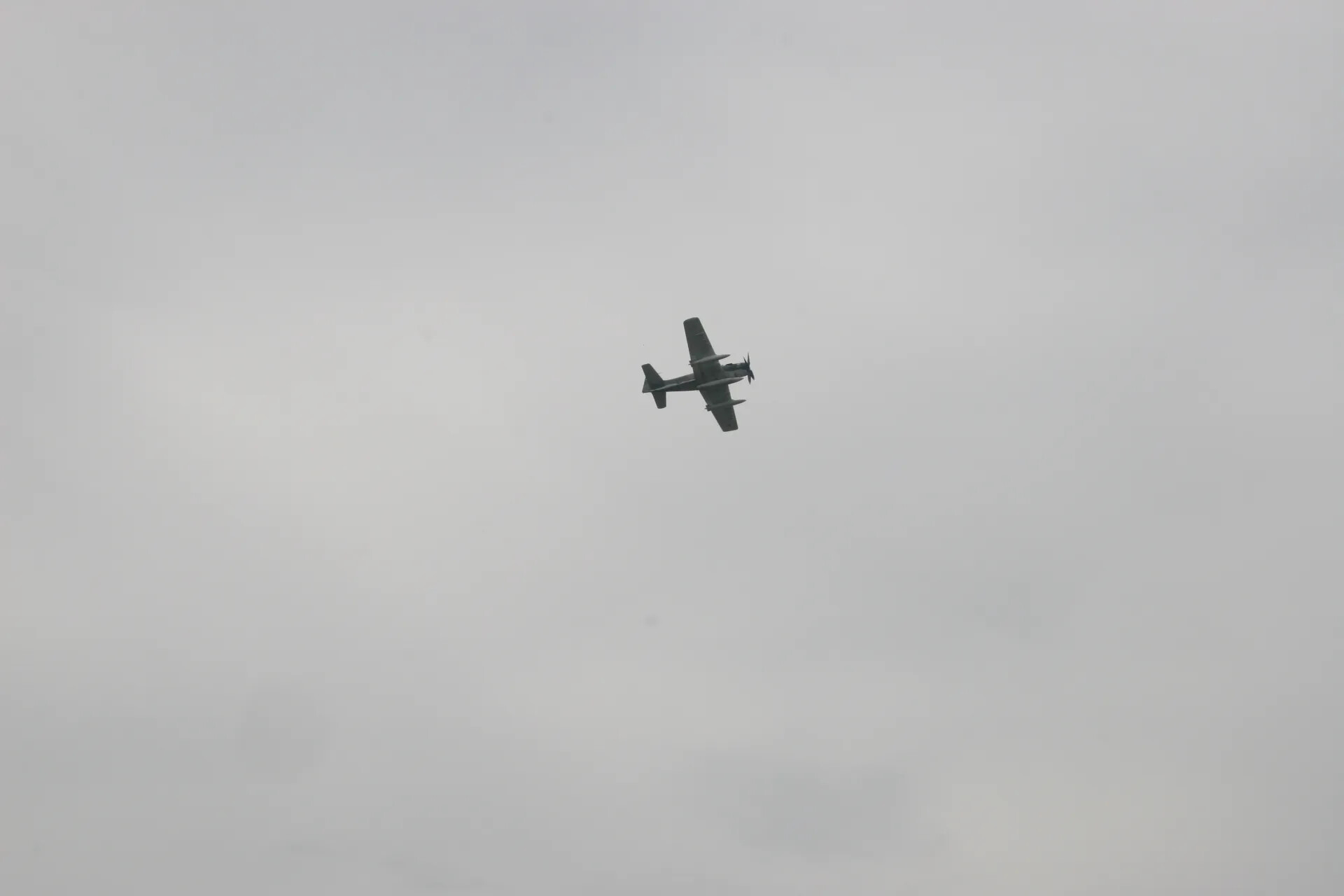 Single Propeller Attack Aircraft in Flight, Operation Tailwind Commemorative Event, 2016