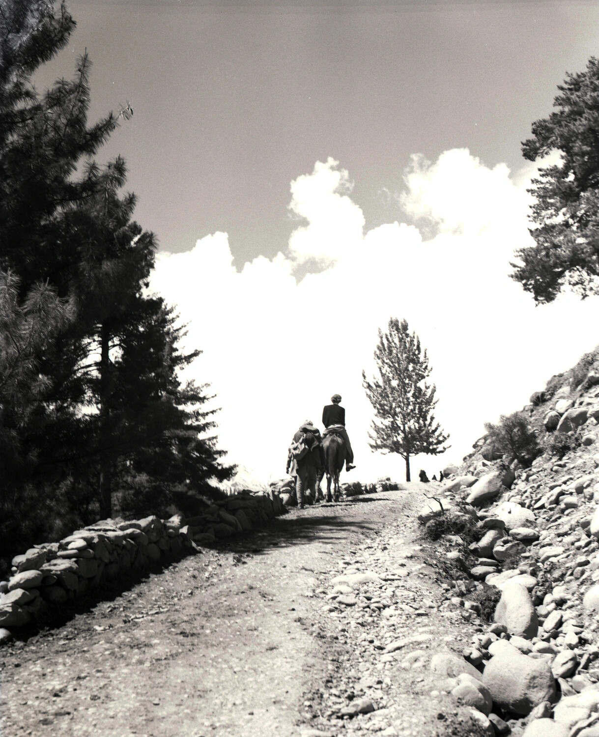 Mountain Trail with Pack Animal and Travelers, China-Burma-India Theater, 1944-1945