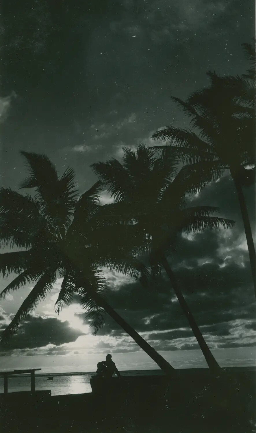 Silhouetted Palm Trees and Figure at Sunset, Pacific Theater, WWII Era (McAleer Album)