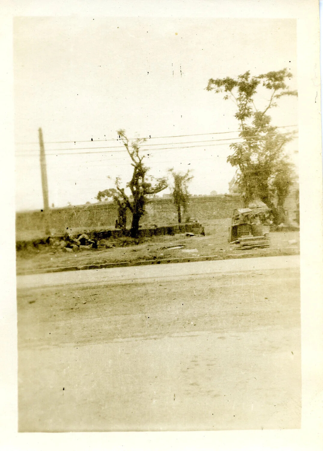 War-Damaged Roadside Scene with Stripped Trees and Wrecked Structure, Pacific Theater