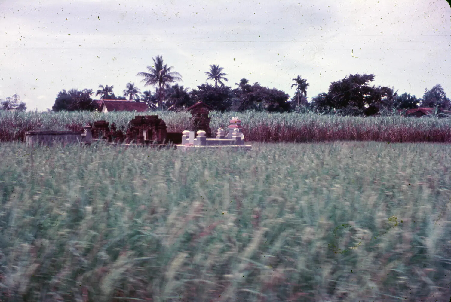 Rural Vietnamese Landscape with Traditional Tombs/Shrines, 1965 (3rd Tactical Fighter Wing Collection)