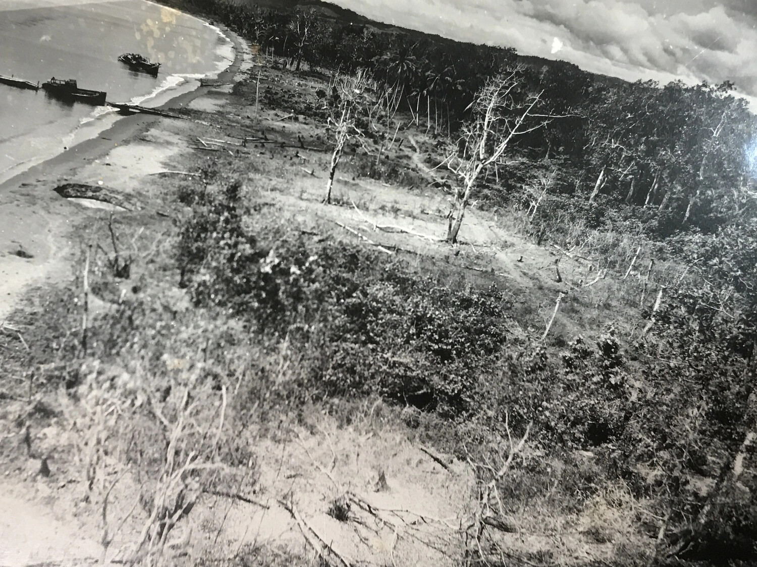 Aerial View of Defoliated Shoreline and Small Craft, Hansa Bay Area, New Guinea