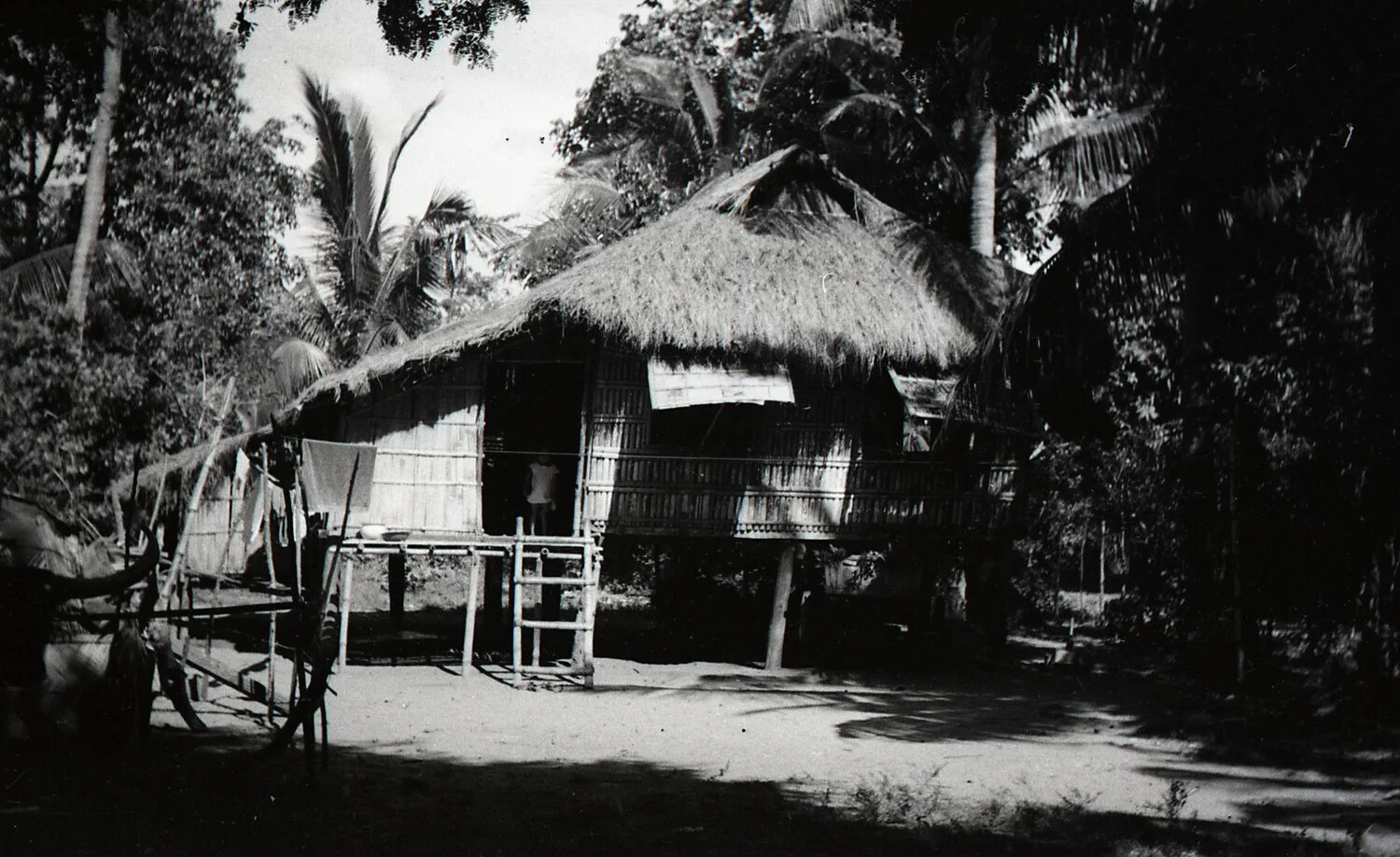 Traditional Nipa Hut Among Palm Trees, Luzon, Philippines, World War II Era