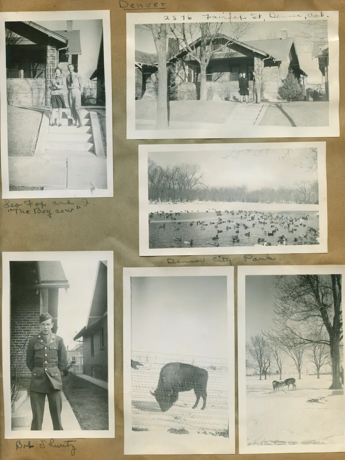 Album Page: Personal Snapshots of Denver, Colorado, Including City Park Wildlife and a Soldier's Portrait