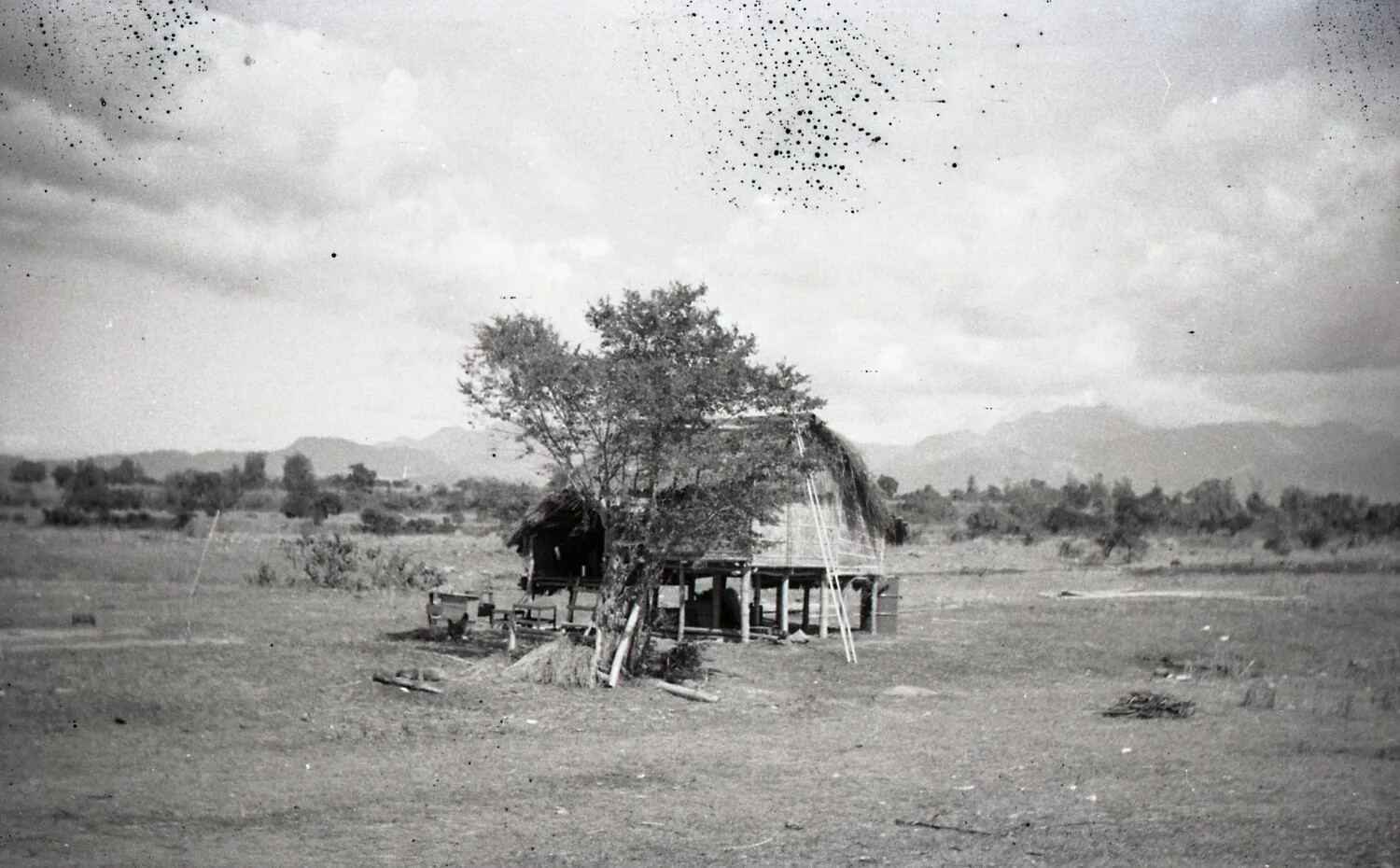Traditional Filipino Stilt House (Bahay Kubo) in Rural Landscape, Luzon, Philippines, WWII 35mm Negative Collection