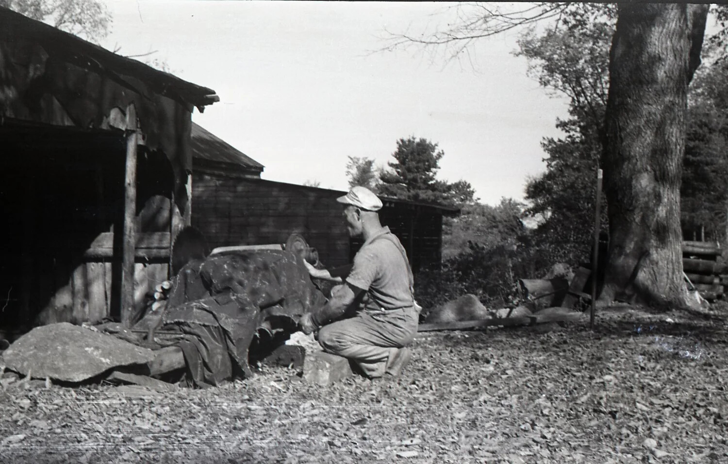 Farmhand Working on Covered Machinery Near Timber Barn, Stateside, WWII Era