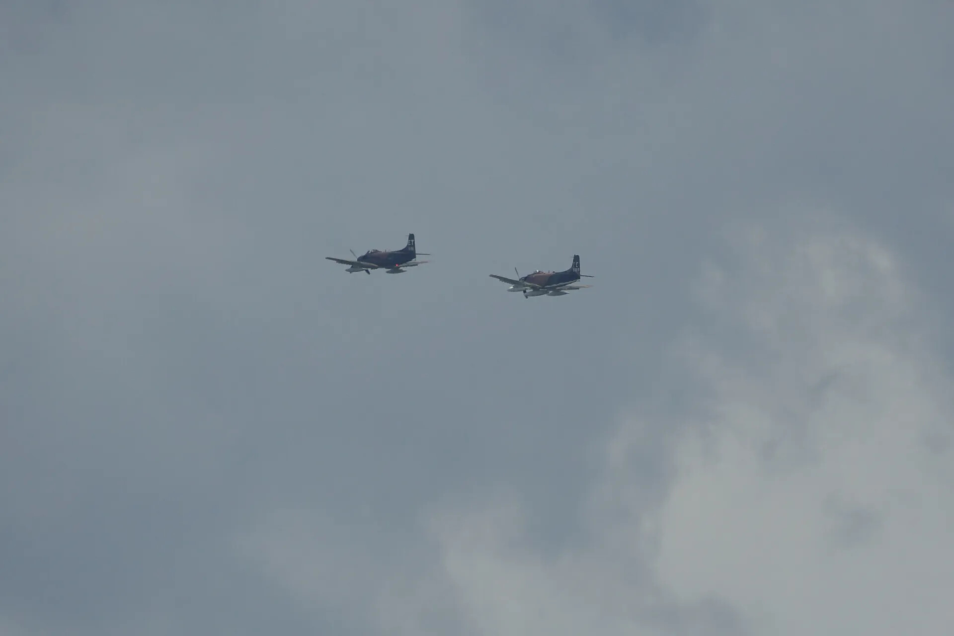 Two Douglas A-1 Skyraiders in Formation Flight with Visible Tail Codes, May 2019 Reunion Event