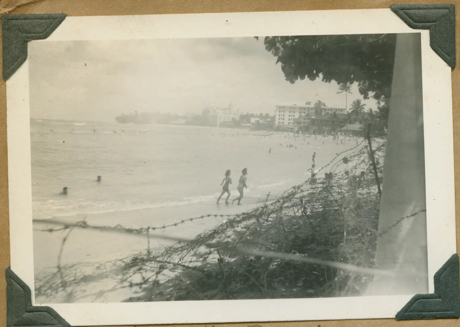 Barbed Wire Beach Defenses at Waikiki, Oahu, Hawaii, WWII Era (c. 1942)