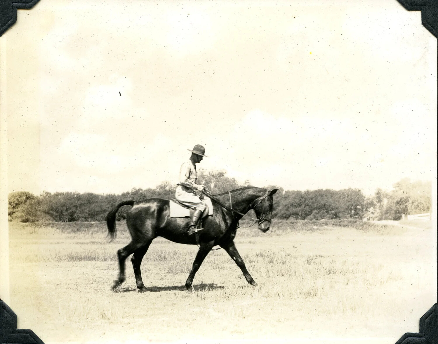 U.S. Army Officer on Horseback, Jervey Signal Corps Photo Album