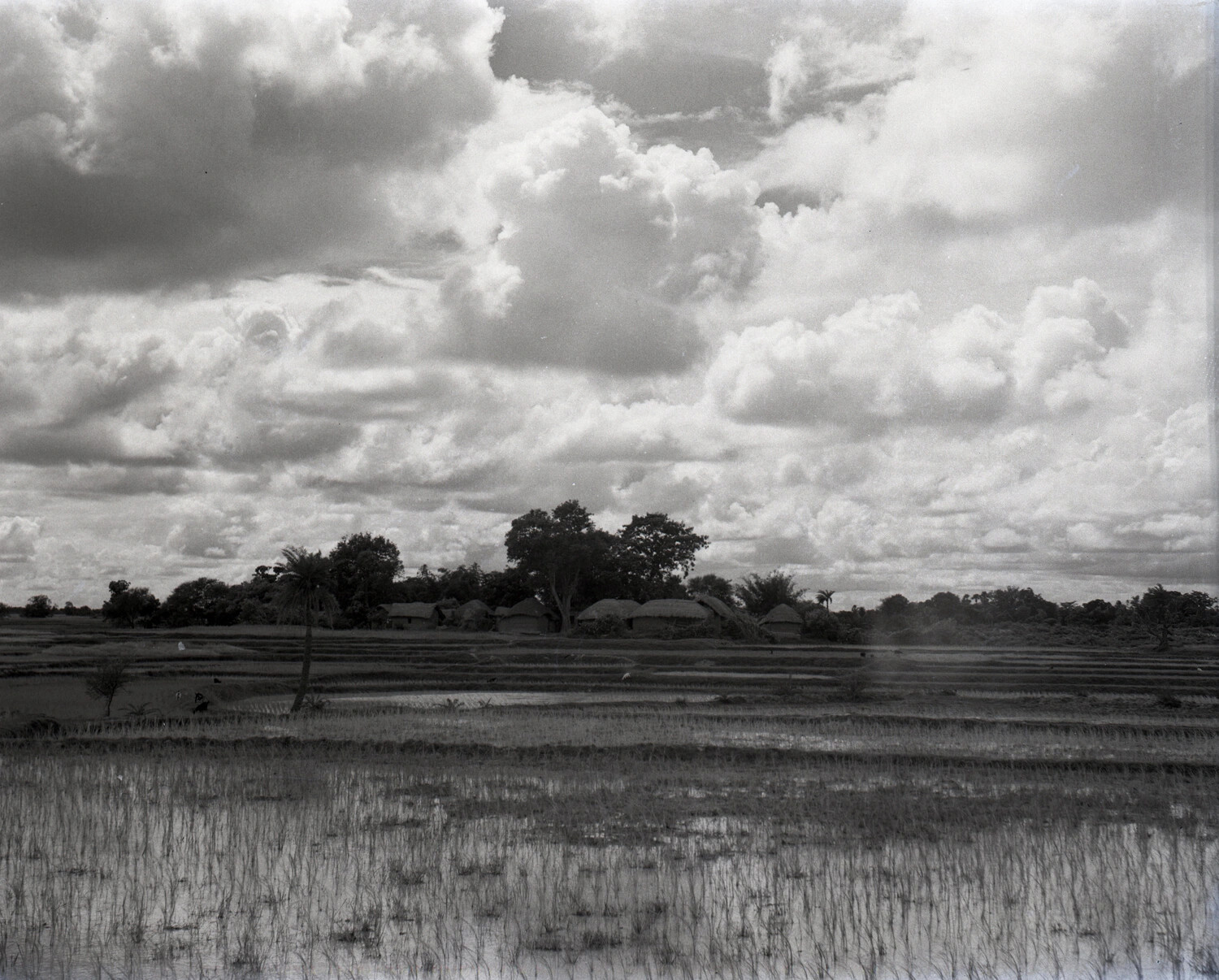 Rice Paddy Village Landscape, Burma/CBI Theater, WWII