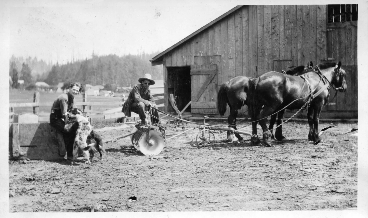 Farmhands with Horse-Drawn Implement and Dogs in Front of Barn, Early 20th Century