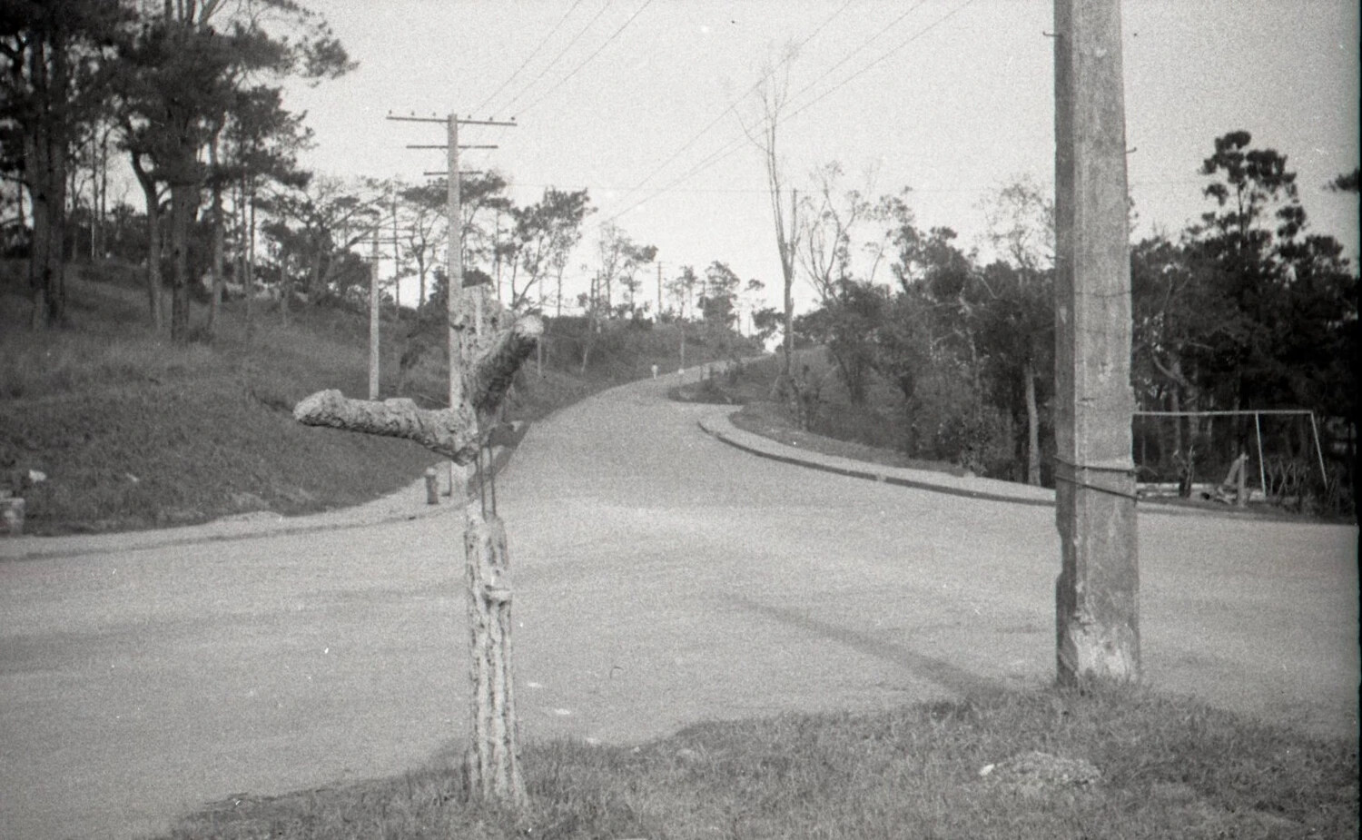 Winding Road Through Pine Forest, Camp John Hay, Luzon, Philippines