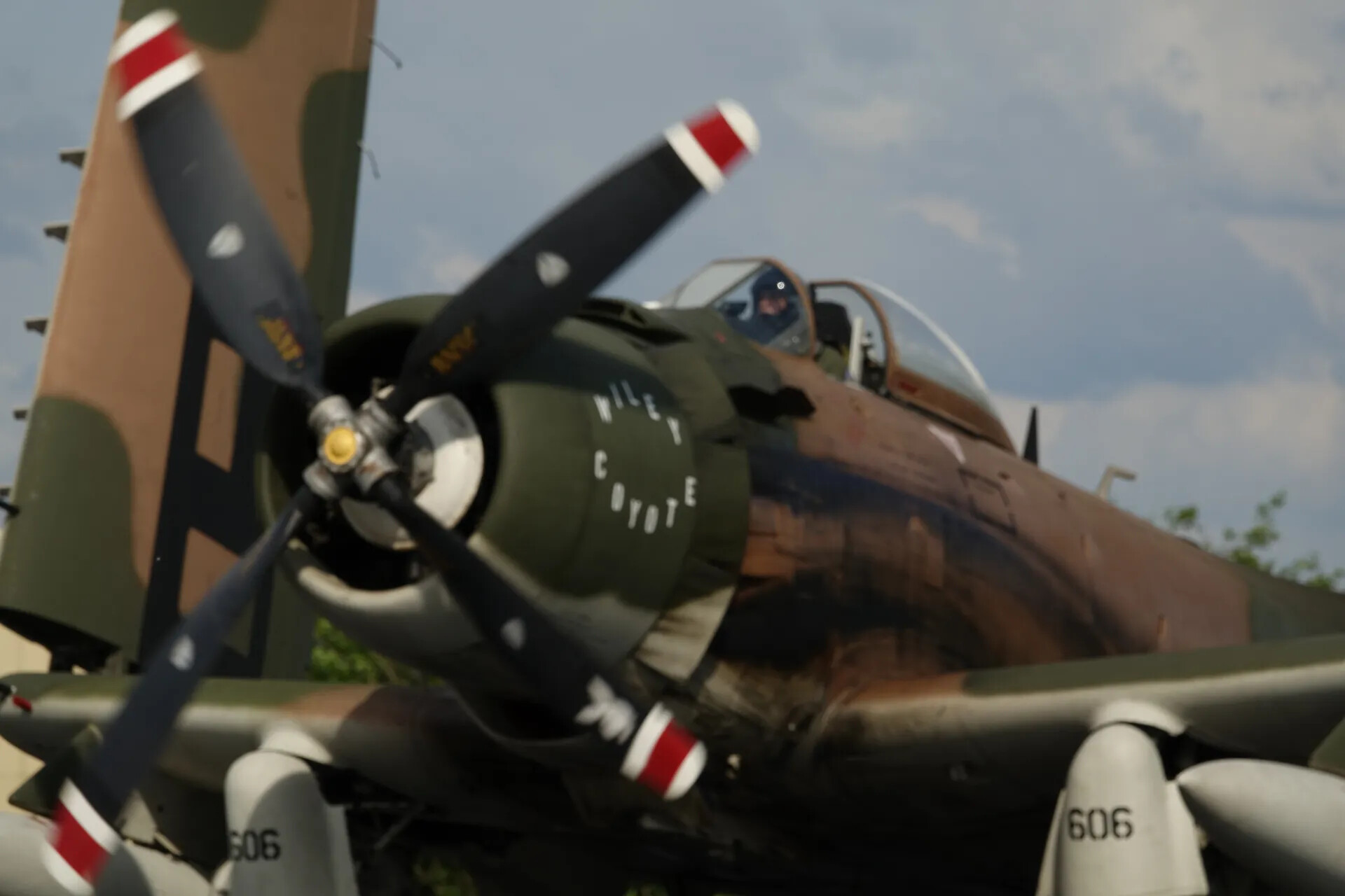 Douglas A-1 Skyraider 'Wiley Coyote' (606), Close-Up at Reunion Event, May 2019