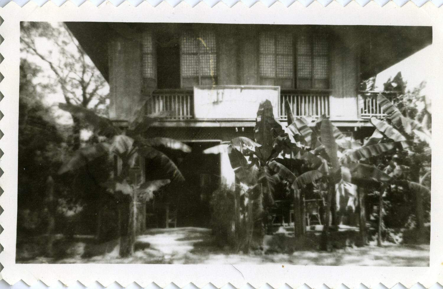 Traditional Two-Story Dwelling with Banana Trees, Pacific Theater, World War II Era