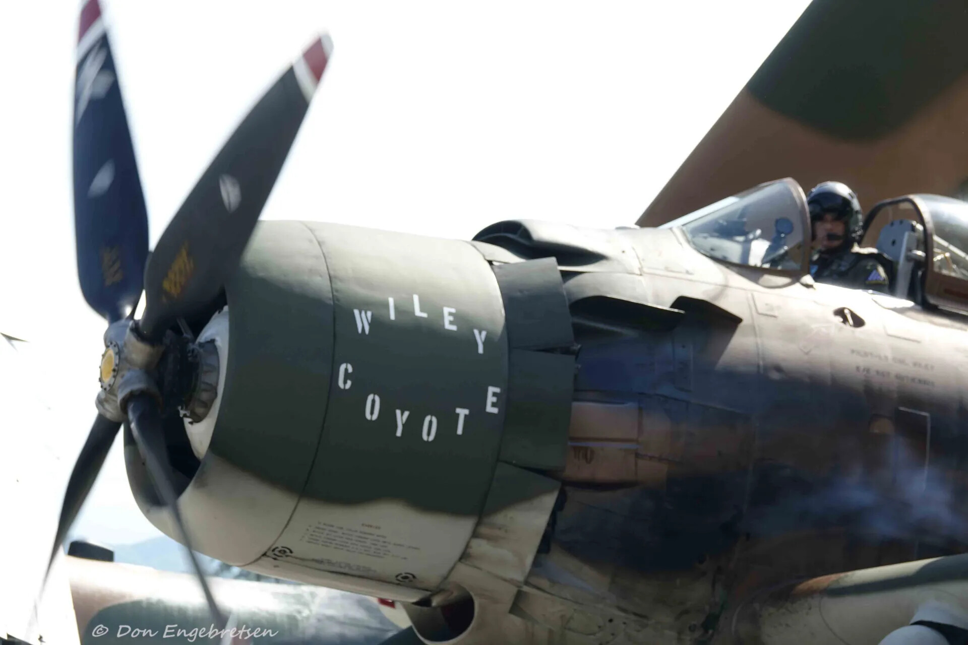 A-1 Skyraider 'Wiley Coyote' - Cowling, Propeller, and Cockpit Close-Up, May 2019