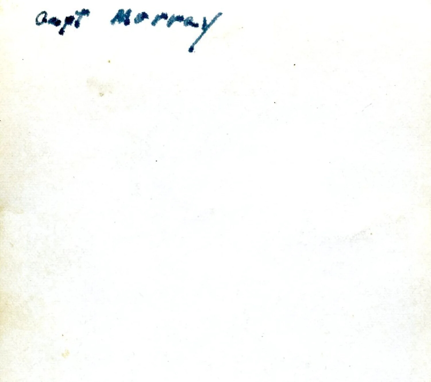 Photograph Verso with Handwritten Officer Identification, 5th Marine Division Collection, WWII
