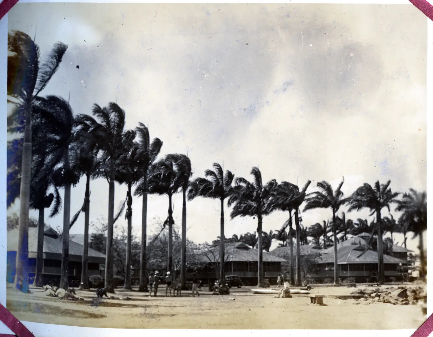 Royal Palms and Tropical Barracks, U.S. Military Post, Panama Canal Zone