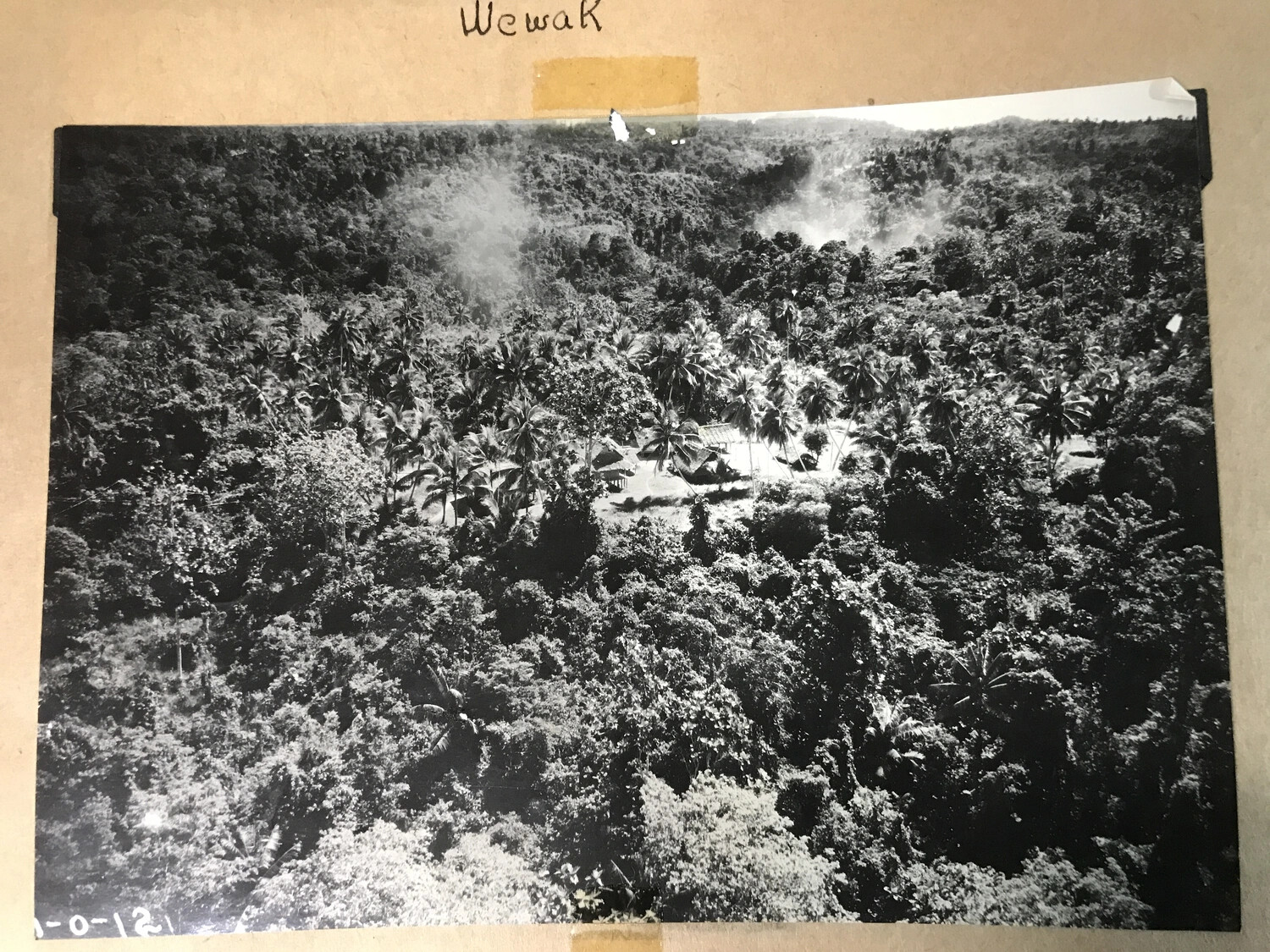 Aerial Photograph of Jungle Canopy near Wewak, New Guinea, with Archival Label