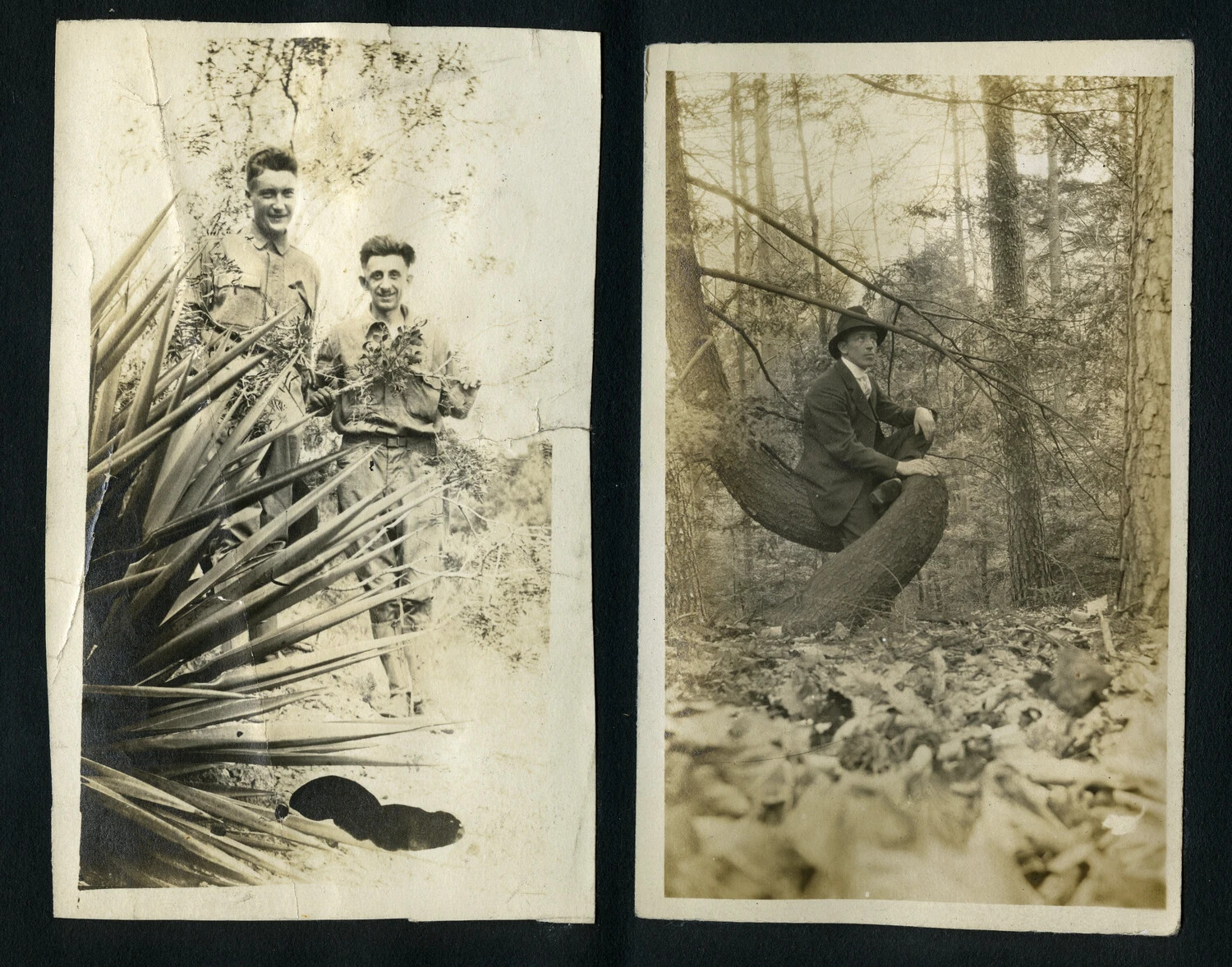 Album Page with Two Snapshots: Uniformed Men Among Foliage and a Man Seated on a Forest Log, 1920s