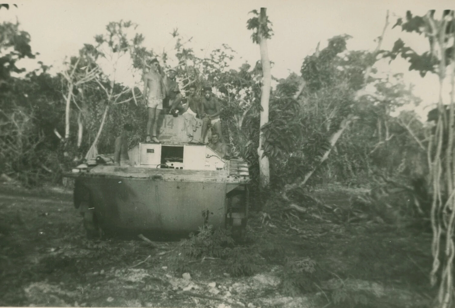 Servicemen Posing on Derelict Tracked Vehicle in Pacific Jungle, McAleer Collection, WWII