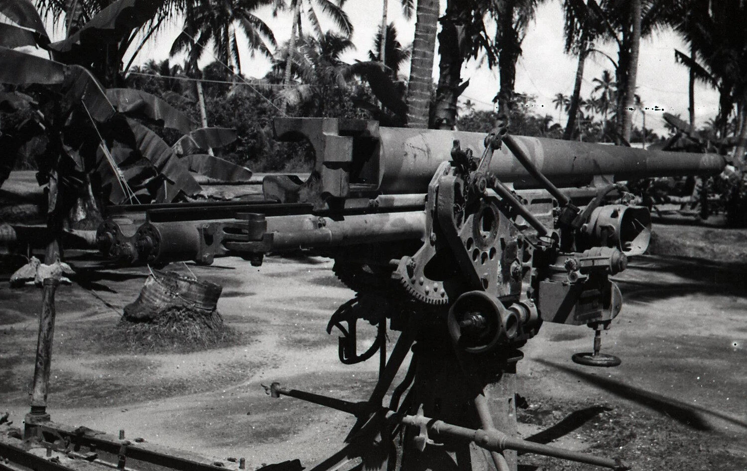 Captured Japanese Anti-Aircraft Gun in Tropical Setting, Luzon, Philippines, WWII