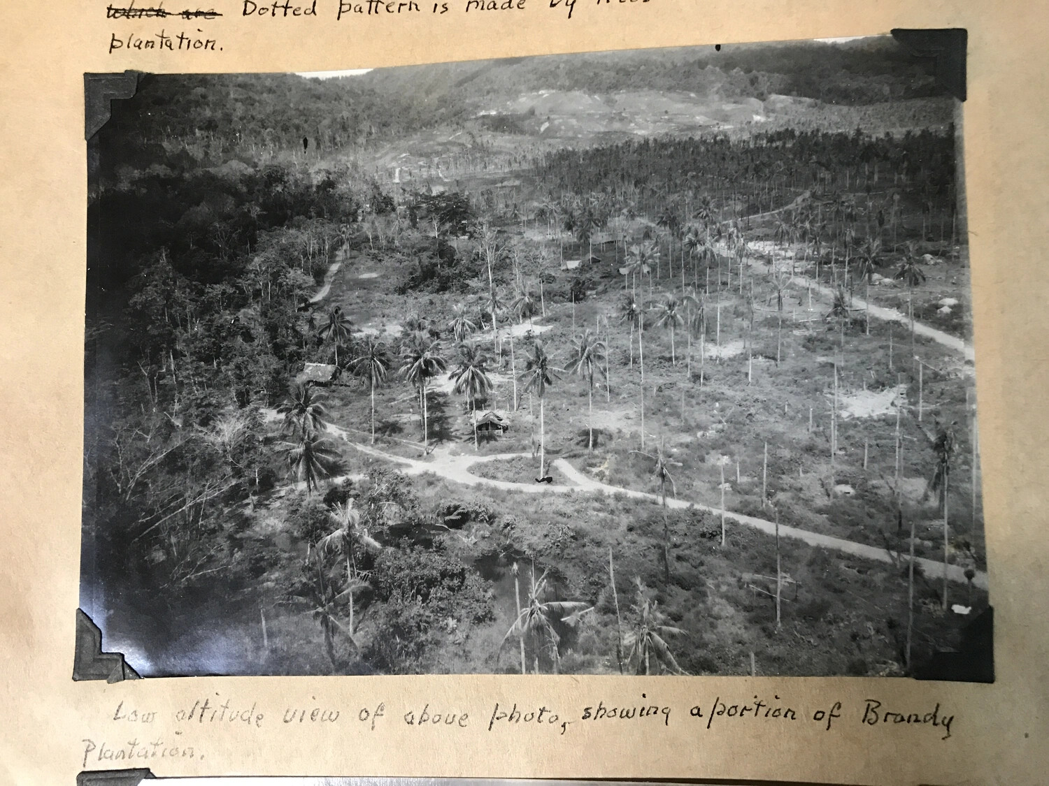 Low-Altitude Aerial View of Brandy Plantation, Annotated Album Photograph
