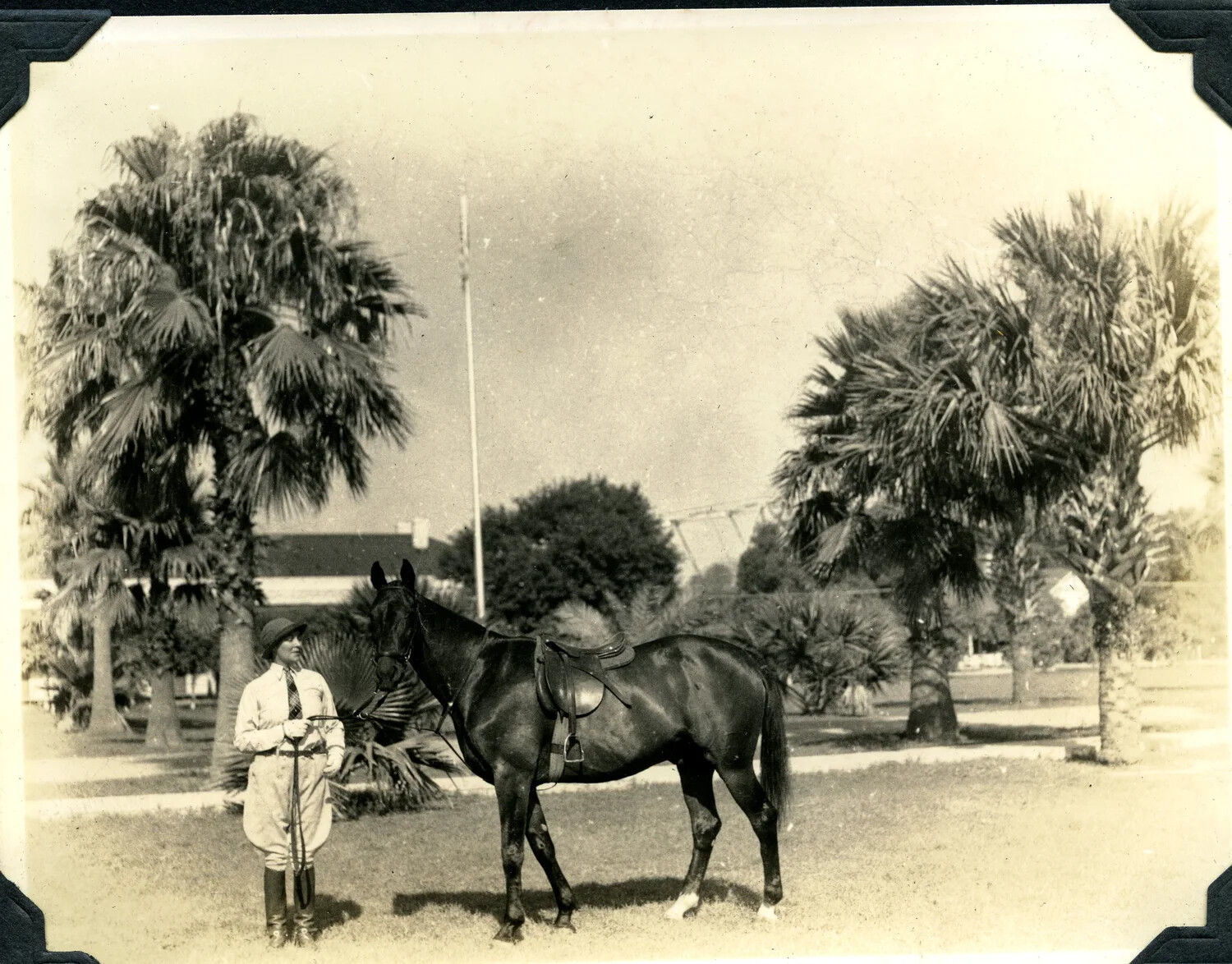 Army Officer with Saddled Horse on Palm-Lined Post Grounds, Jervey Signal Corps Album
