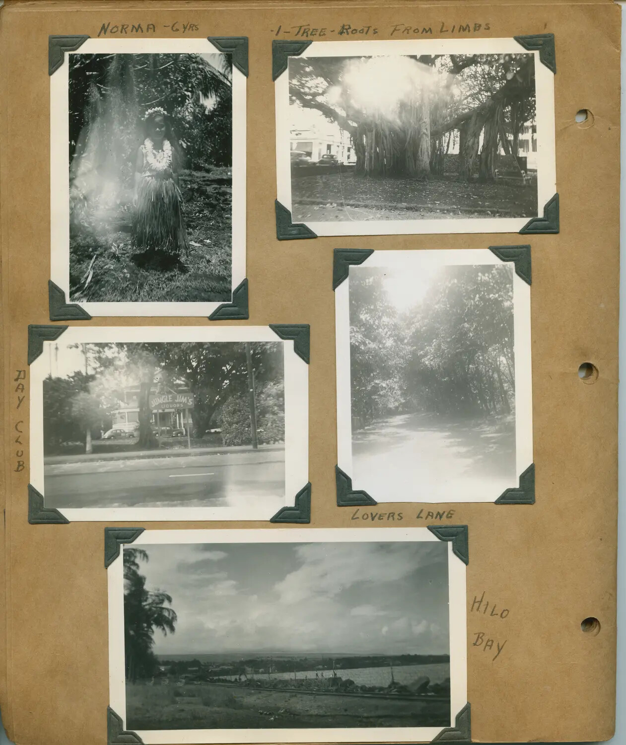 Album Page: Norma in Hula Attire, Banyan Tree, Jungle Jim's Liquors, Lovers Lane, and Hilo Bay, Hawaii, World War II Era