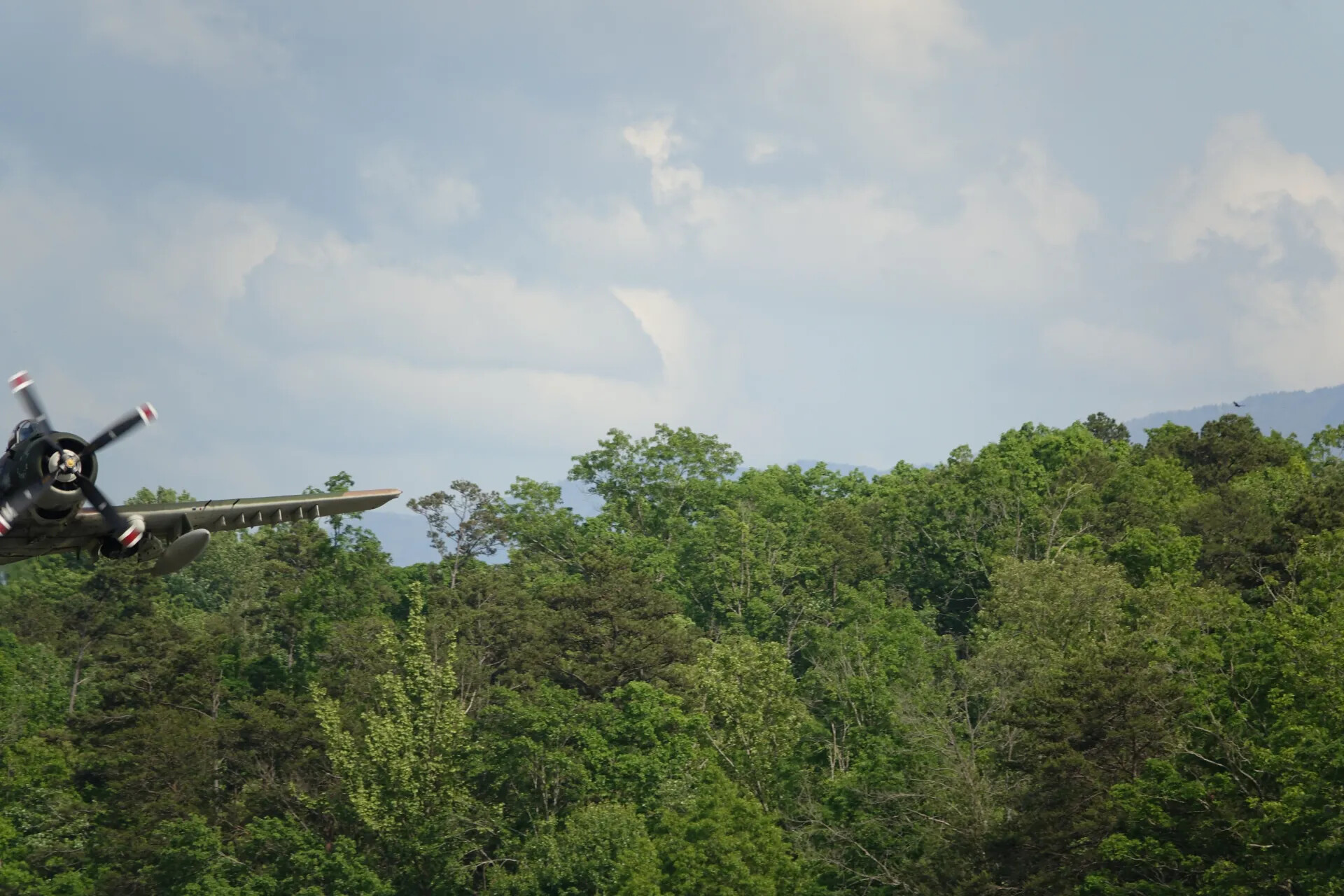 Warbird Trainer Aircraft on Low Pass Over Tree Line, Air Show, May 2019