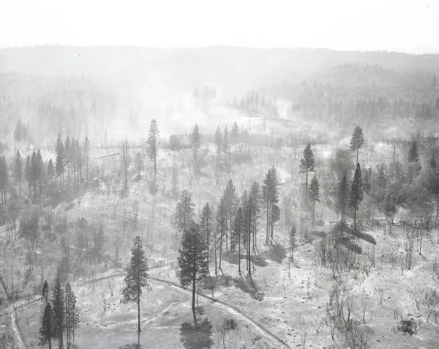 Aerial Reconnaissance Photograph of Forested Hillside Terrain -- National Guard Collection