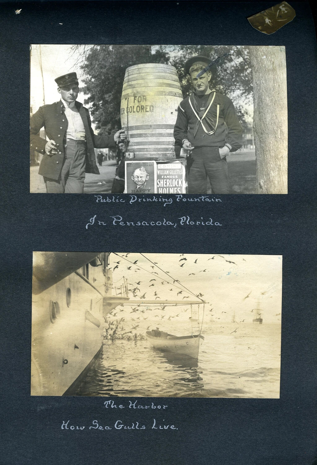 Album Page: 'Public Drinking Fountain in Pensacola, Florida' and 'The Harbor, How Sea Gulls Live' — USS Columbia Album, c. 1898-1910s
