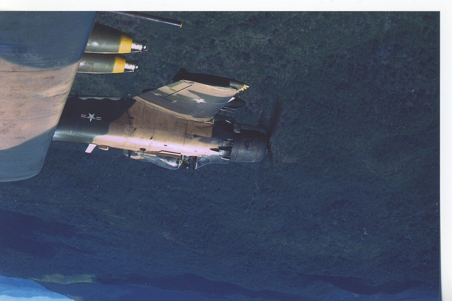 A-1 Skyraider Banking Over Jungle Canopy, Air-to-Air View