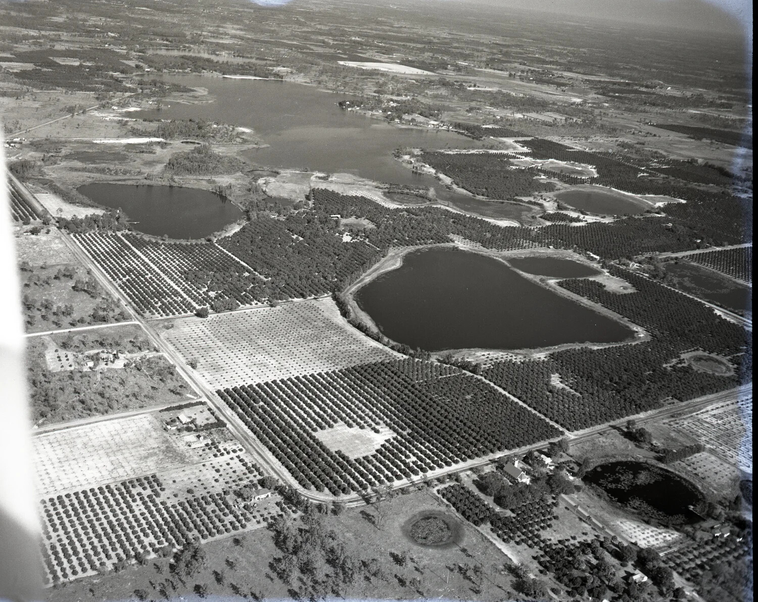 Aerial View of Citrus Grove Farmland with Lakes, Likely Central Florida (Misfiled in CBI Collection)