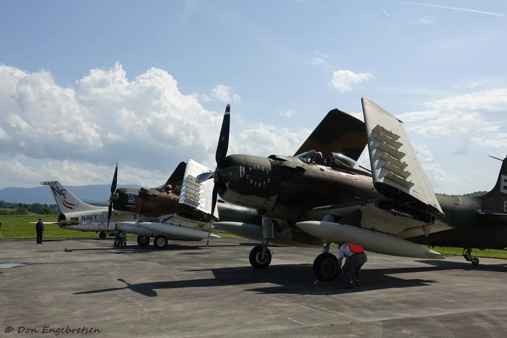 Douglas A-1 Skyraider Lineup with Wings Folded, Skyraider Association Fly-In, May 2019 -- Don Engebretsen Collection