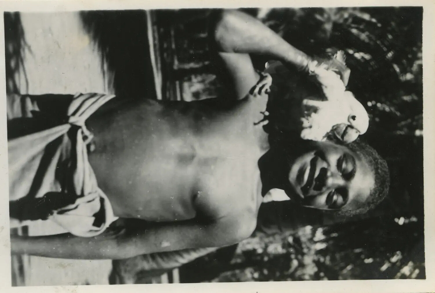 Papua New Guinean Man with Pet Cockatoo (Photograph Presented in Sideways Orientation)