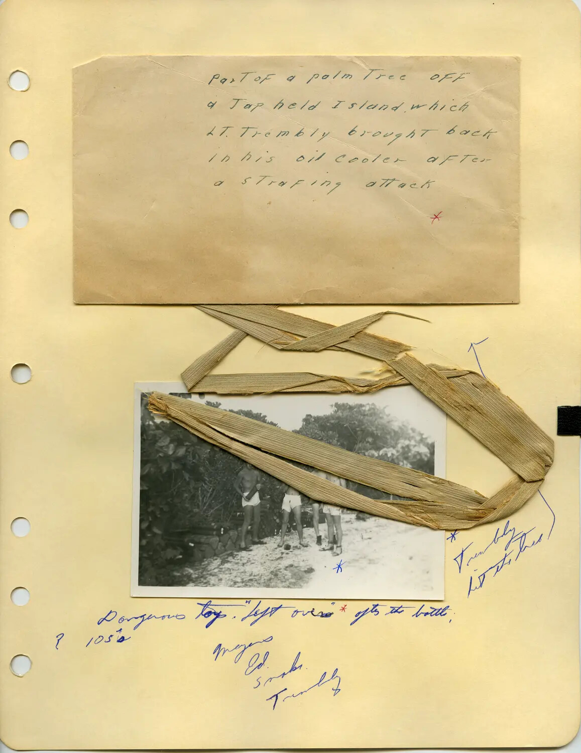 Photo Album Page: Palm Frond Souvenir from Lt. Trembly's Strafing Run, with Beach Snapshot of Squadron Mates
