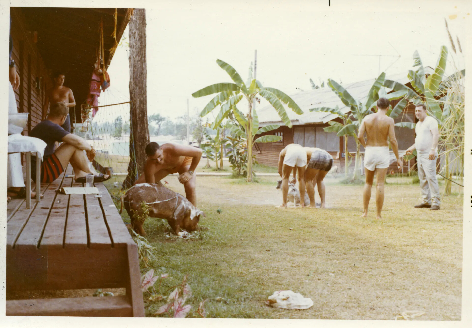 Airmen at Leisure with Camp Mascots, Nakhon Phanom RTAFB, Thailand