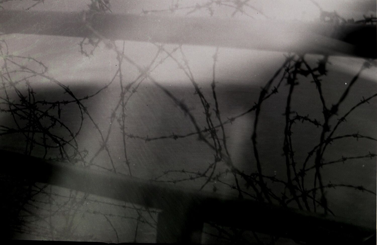Close-Up Study of Barbed Wire Defensive Barrier, Wartime China