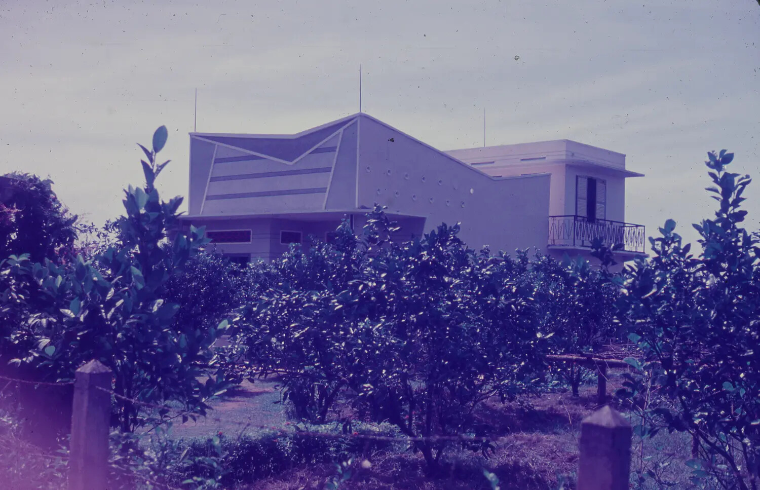 French Colonial-Style Building with Antenna Masts Behind Citrus Orchard, South Vietnam, 1965