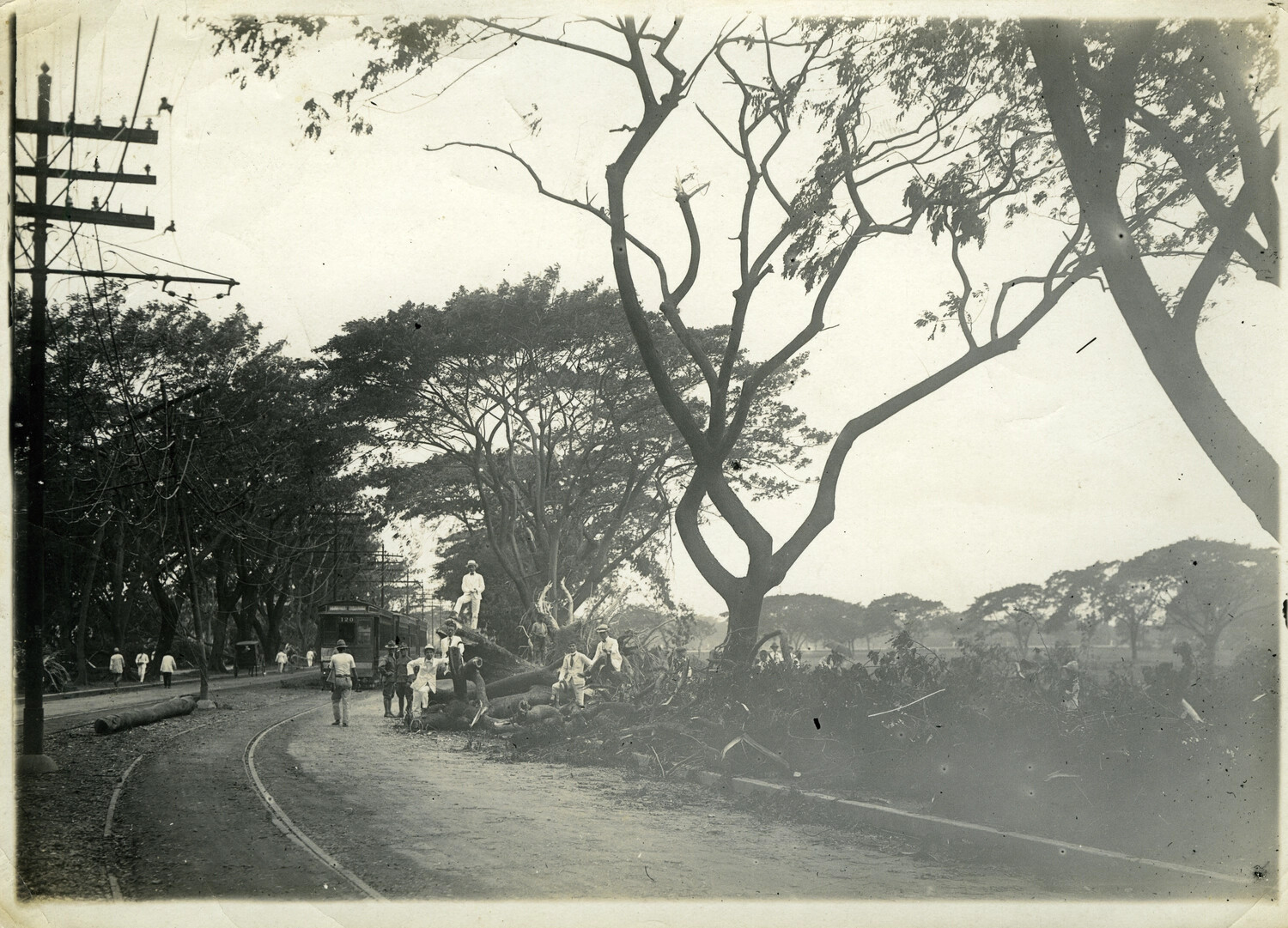 Typhoon Damage Along Tree-Lined Boulevard with Streetcar, Manila, Philippines, Early 1900s