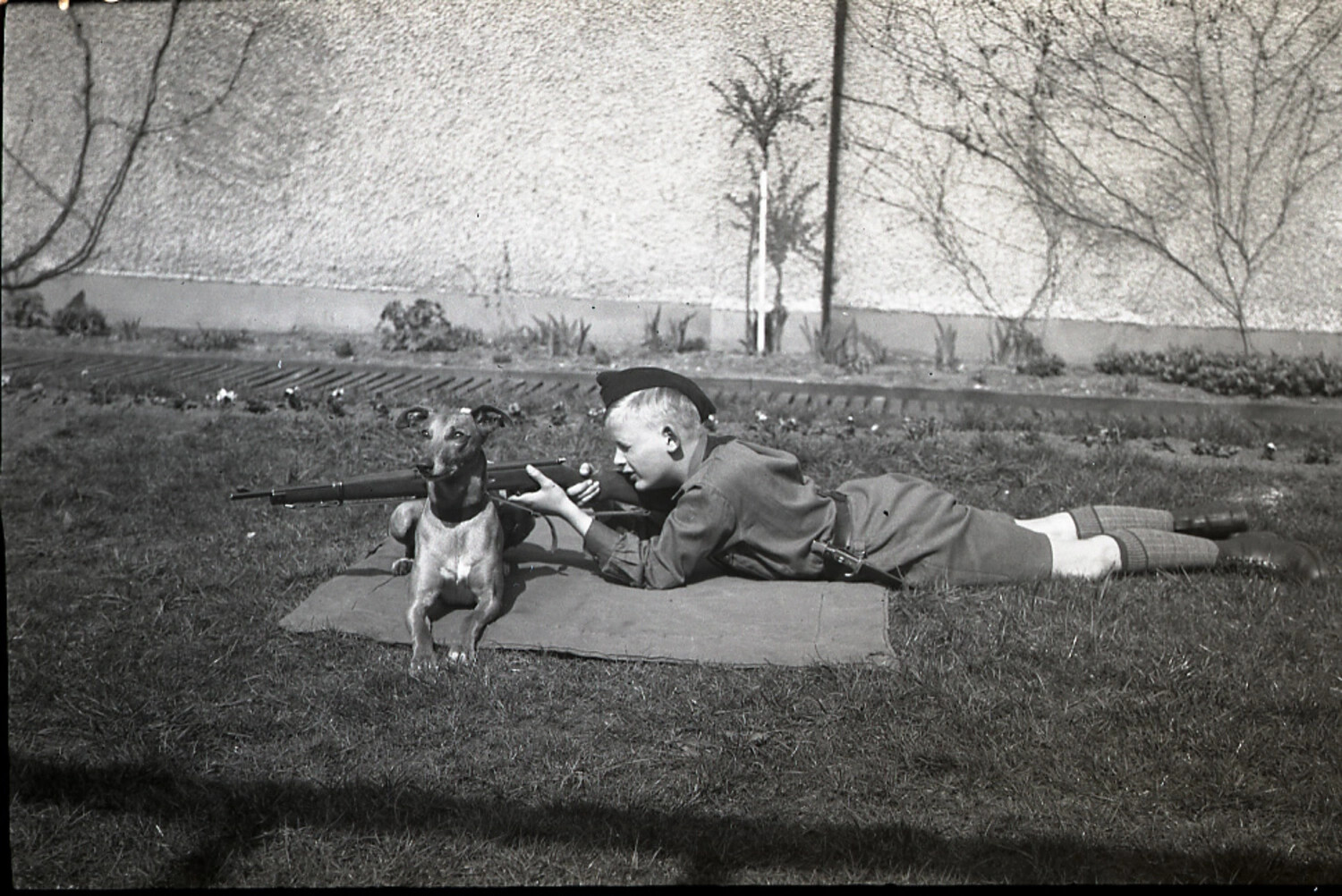Boy in Military-Style Dress Posing Prone with Rifle and Dog, Undated Family Snapshot (Possibly WWI-Era, 'German Garard' Collection)
