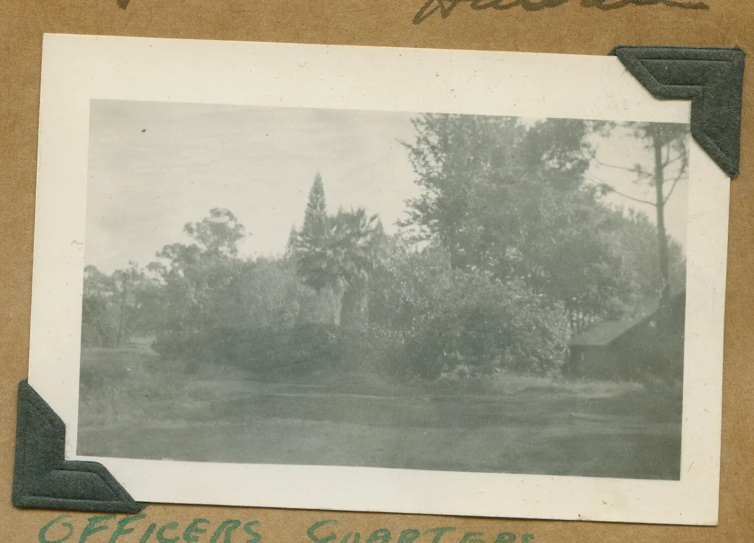 'Officers Quarters' — Landscape View at a Hawaiian Army Post, WWII Era