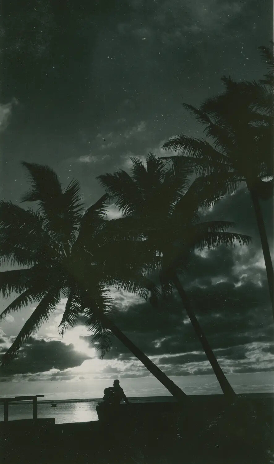 Sunset Silhouette with Palm Trees and Seated Figure, McAleer Album