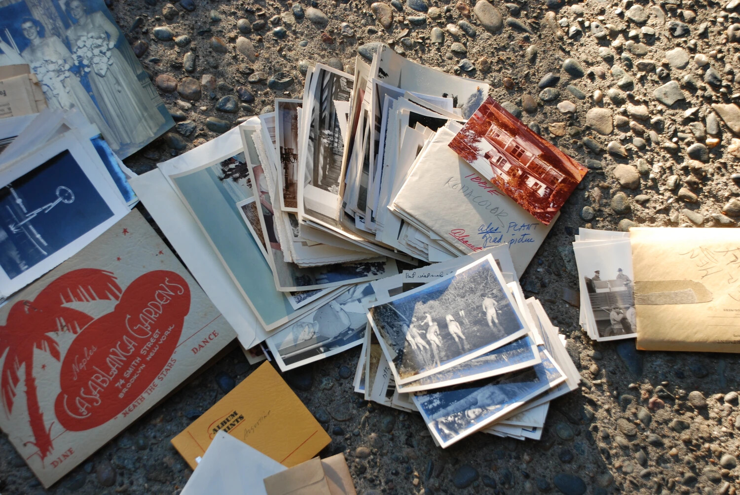 Archival Inventory Photograph: Scattered Snapshots and Ephemera from the Kotec Family Collection