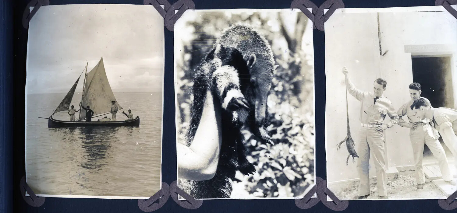 Panama Canal Zone Album Page: Sailing Canoe, Anteater, and Iguana, World War II