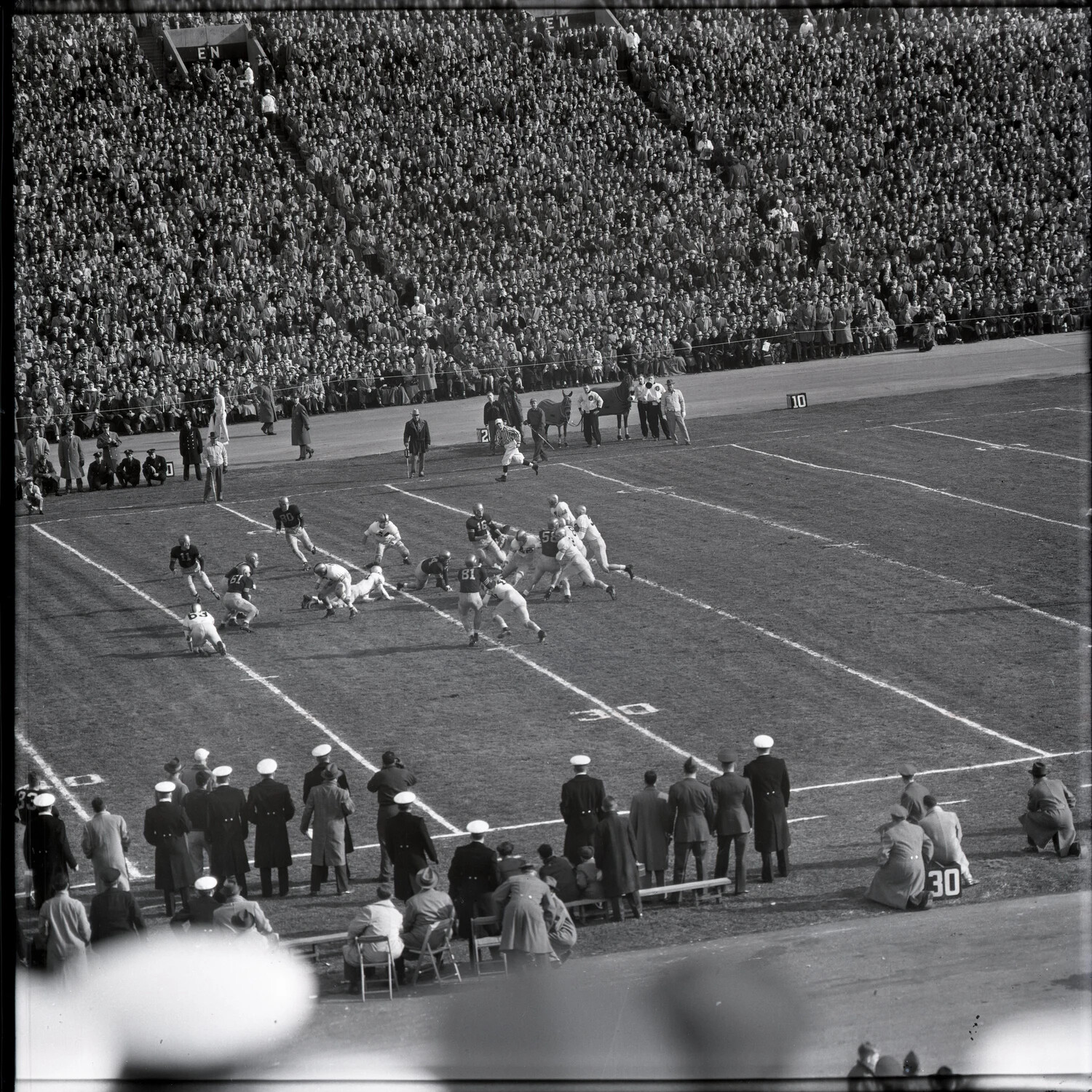 Army-Navy Football Game Action Shot with Navy Mule Mascot on Sideline