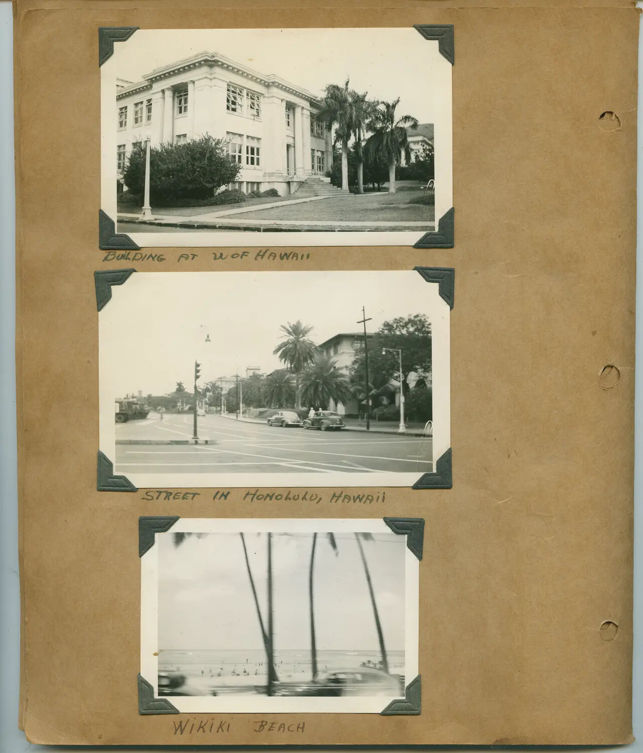 Neo-Classical Campus Building with Palm Trees, Honolulu, Hawaii